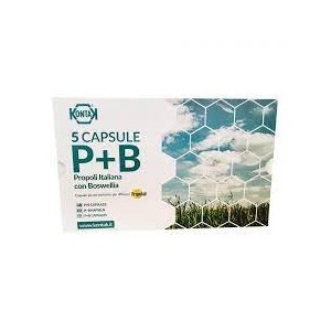 Propolair ricarica 5 capsule p+b