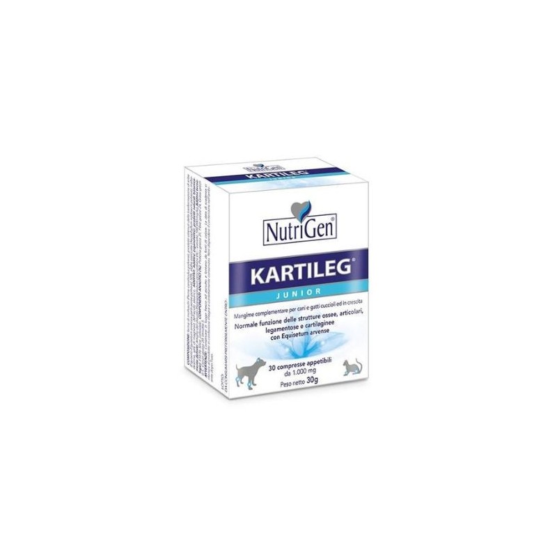 Kartileg junior 60 tavolette