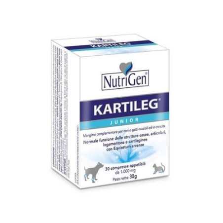 Kartileg junior 60 tavolette
