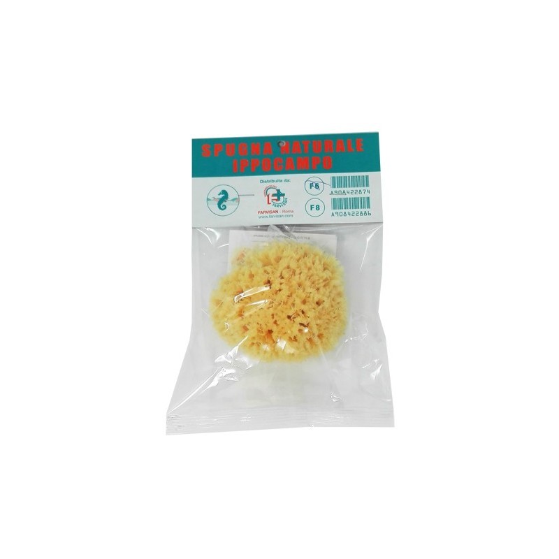Spugna naturale ippocampo 6