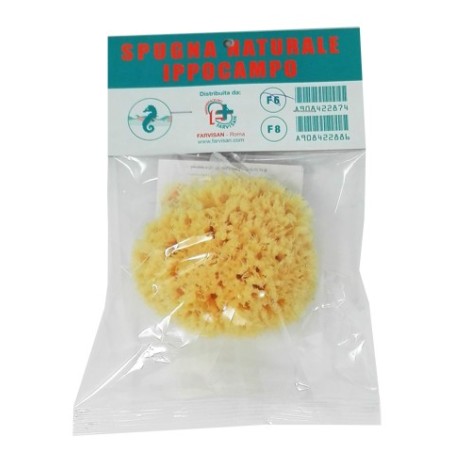 Spugna naturale ippocampo 6