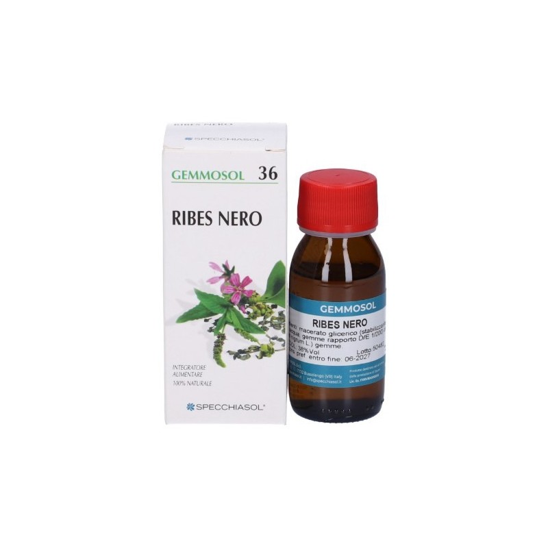 Gemmosol 36 ribes nero 50ml