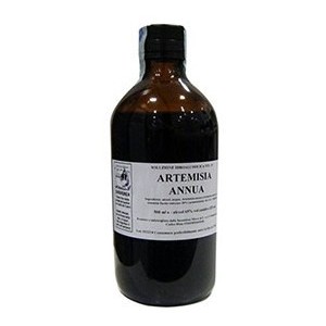 Artemisia annua 1000ml tintura madre
