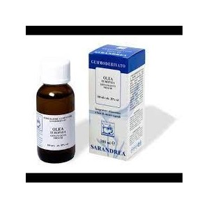 Olea europaea 100 ml macerato glicerico