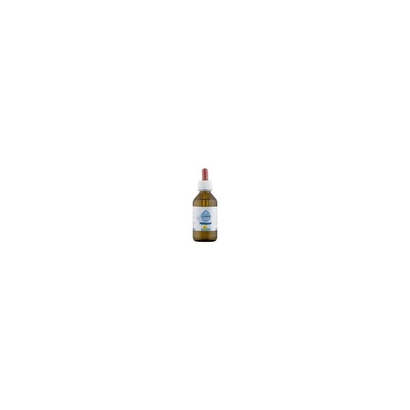 Alkavita gocce flaconcino 100 ml Alkavita gocce flaconcino 100 ml