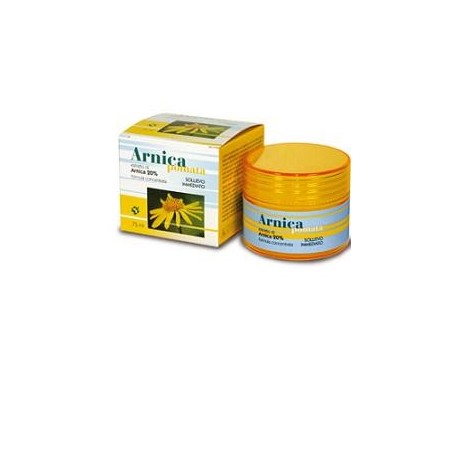Arnica pomata 75 ml