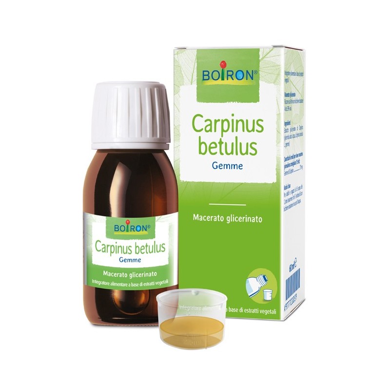 Carpinus betulus macerato glicerico 60 ml int