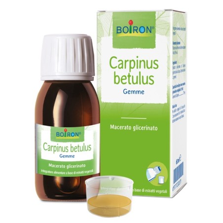 Carpinus betulus macerato glicerico 60 ml int