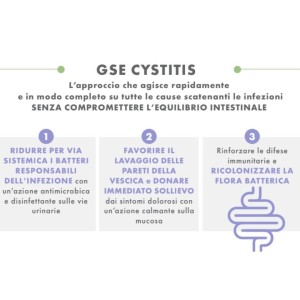 Gse cystitis rapid+ 10 bustine