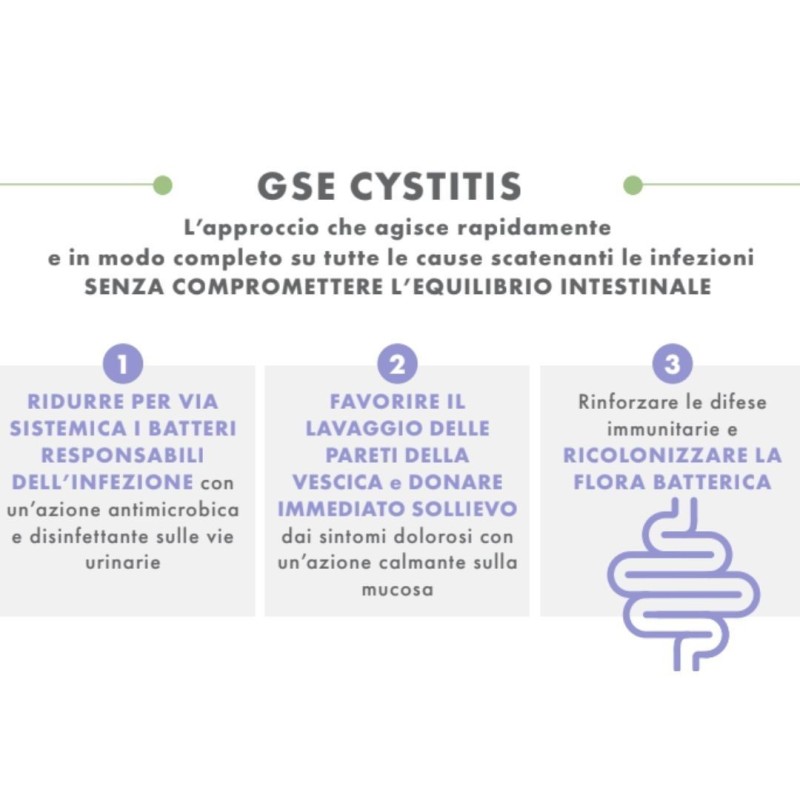 Gse cystitis rapid+ 10 bustine