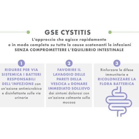 Gse cystitis rapid+ 10 bustine