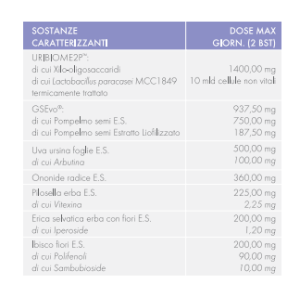 Gse cystitis rapid+ 10 bustine