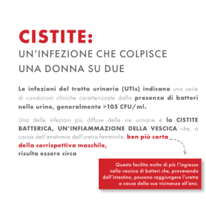 Gse cystitis rapid+ 10 bustine