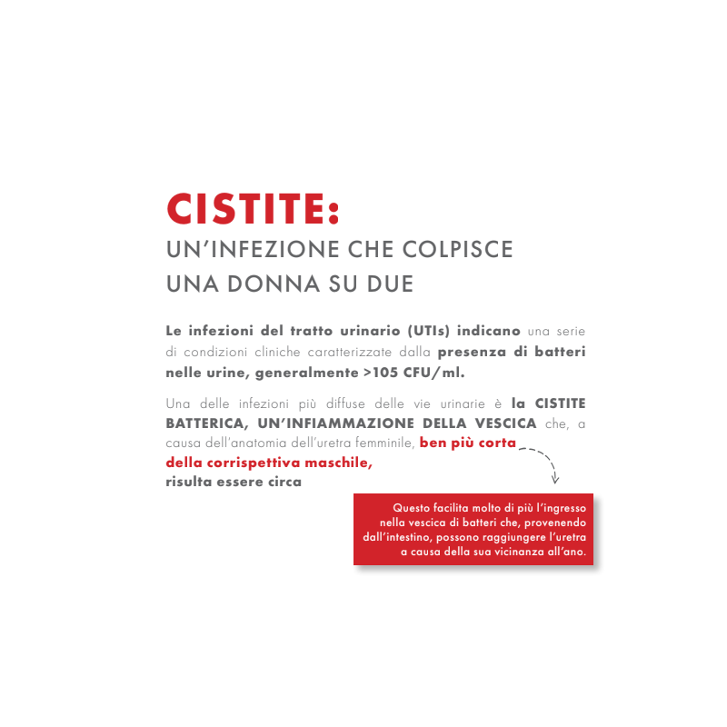 Gse cystitis rapid+ 10 bustine