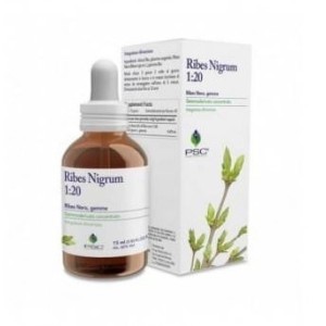 Psc ribes nigrum gocce 15 ml