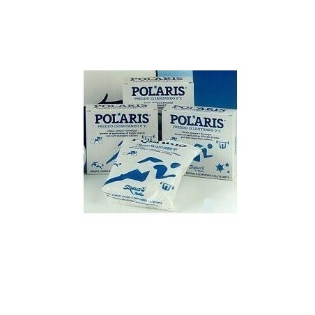 Polaris ghiaccio istantaneo in busta 2 pezzi