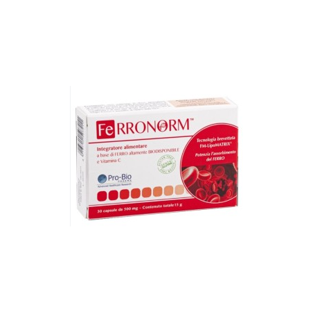 Ferronorm soluzione orale 60 ml