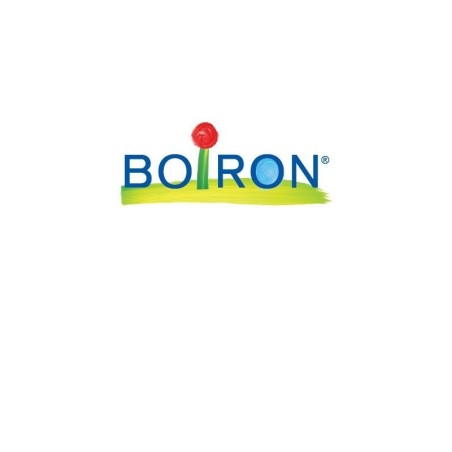 Sulfur boiron granuli 6 ch contenitore monodose