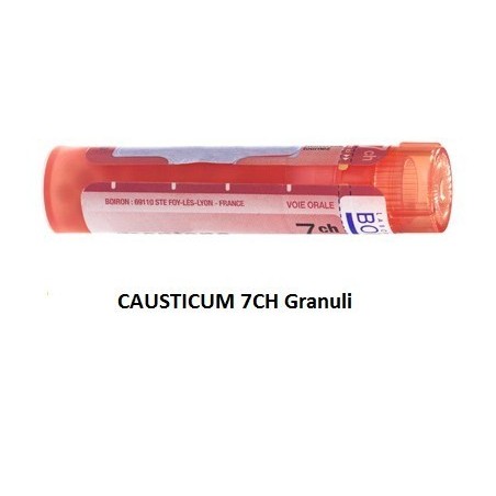 Causticum boiron 80 granuli 7 ch contenitore multidose Causticum boiron 80 granuli 7 ch contenitore multidose
