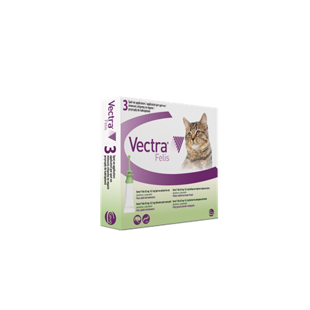 Vectra felis