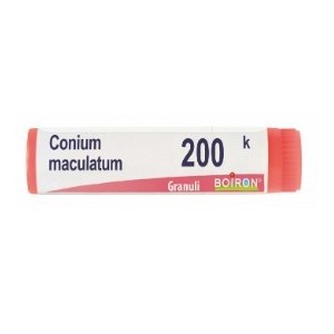Conium maculatum 200k globuli