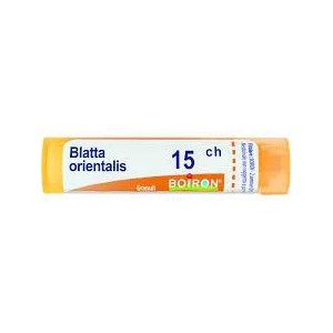 Blatta orientalis 15ch granuli