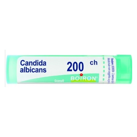 Candida albicans 200ch granuli