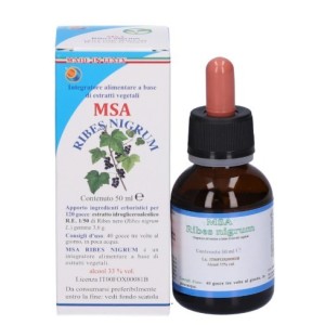 Msa ribes nigrum 50 ml