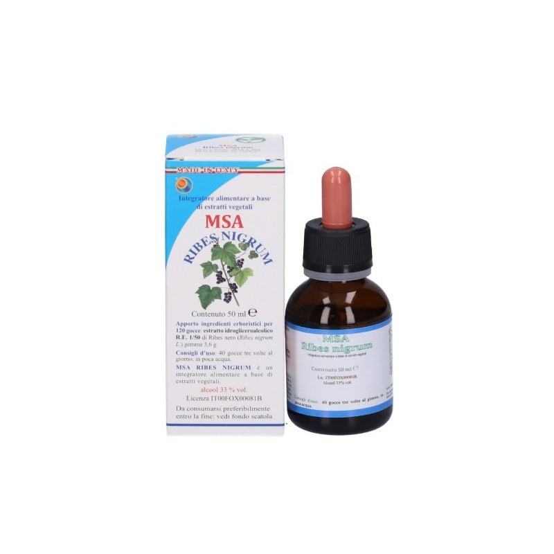 Msa ribes nigrum 50 ml