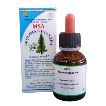 Msa sequoia gigantea 50 ml