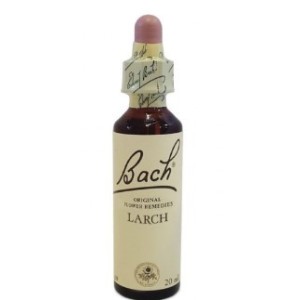 Bach center ess larch 20ml
