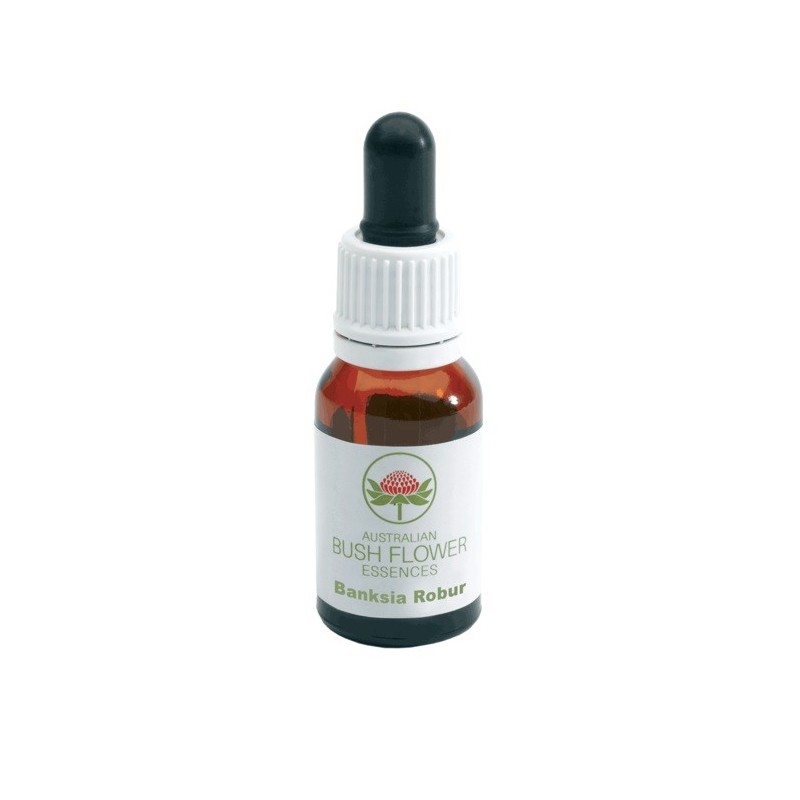 Banksia robur gocce 15 ml