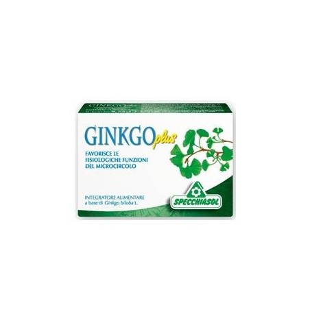 Ginkgo plus 30 capsule