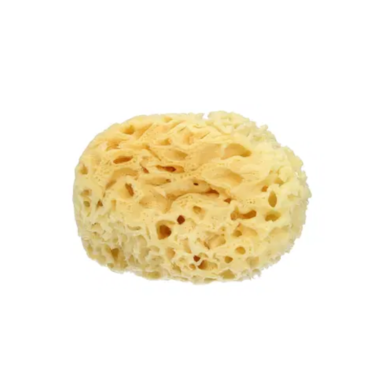 Spugna mare naturale large