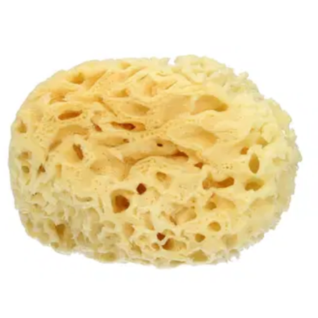 Spugna mare naturale large