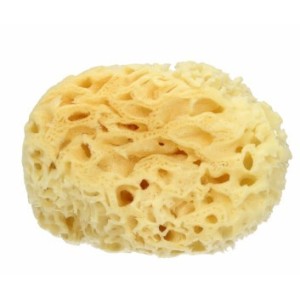 Spugna mare naturale extralarge