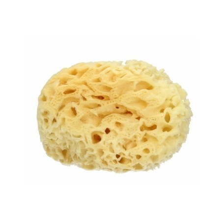 Spugna mare naturale extralarge