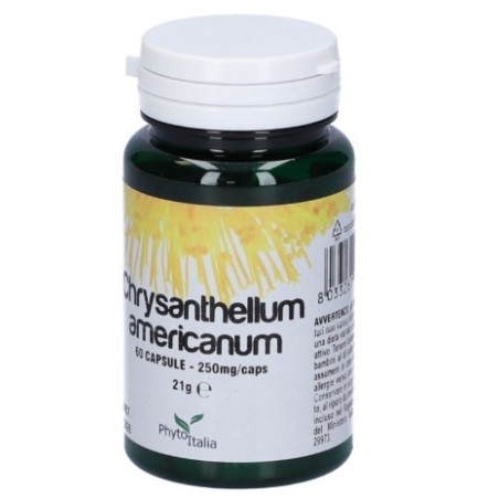 Chrysantellum americanum 60 capsule