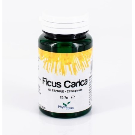 Ficus carica 60 capsule