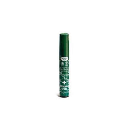 Ainsworths recov plus spr 21ml