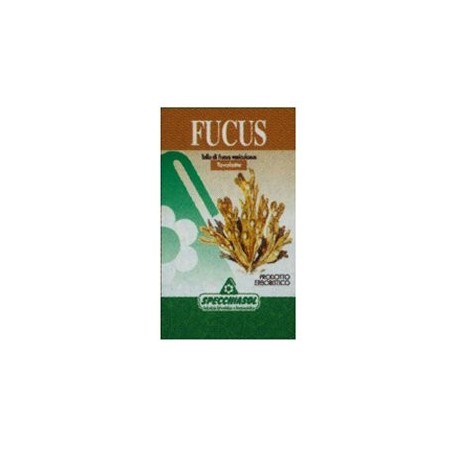 Fucus erbe 150 tavolette