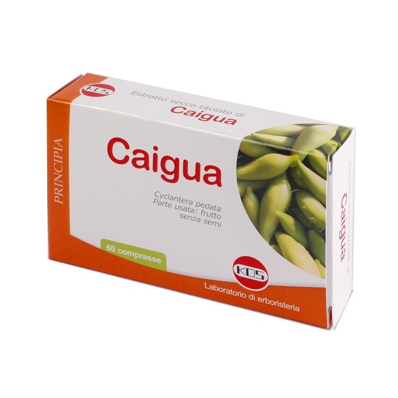 Caigua estratto secco 60 compresse