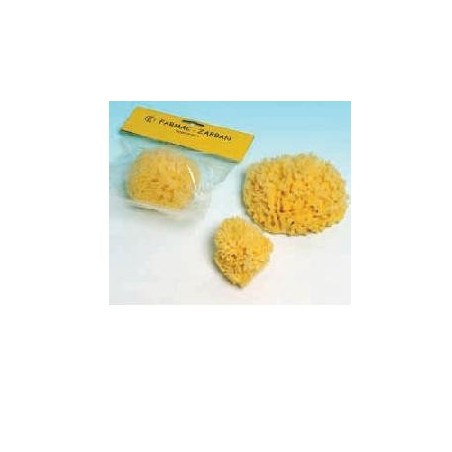 Spugna naturale mare 2 media