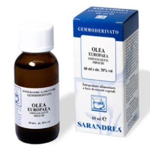 Olea europaea 60 ml macerato glicerico