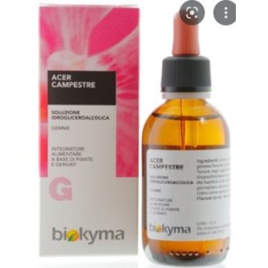 Acer campestre 100 ml macerato glicerico