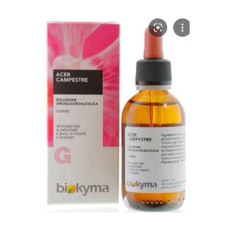 Acer campestre 100 ml macerato glicerico