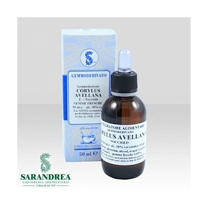 Corylus avellana 100 ml macerato glicerico