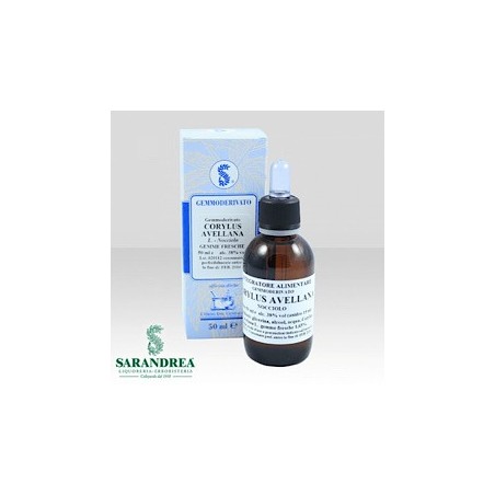 Corylus avellana 100 ml macerato glicerico