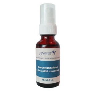 Mind full concentrazione e lucidita' mentale spray orale 30ml