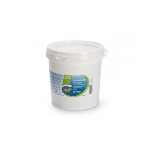 Gastrocure secchiello 2,6 kg